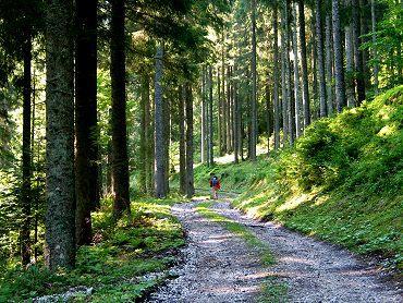 B&B Agritur Affittacamere Capra Mauro Carzano  Zewnętrze zdjęcie